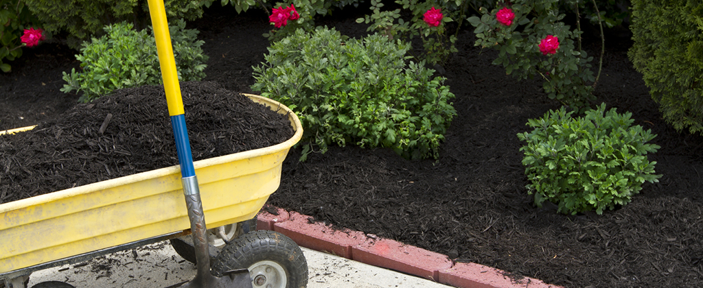 a barrow of mulch next to a flowerbed